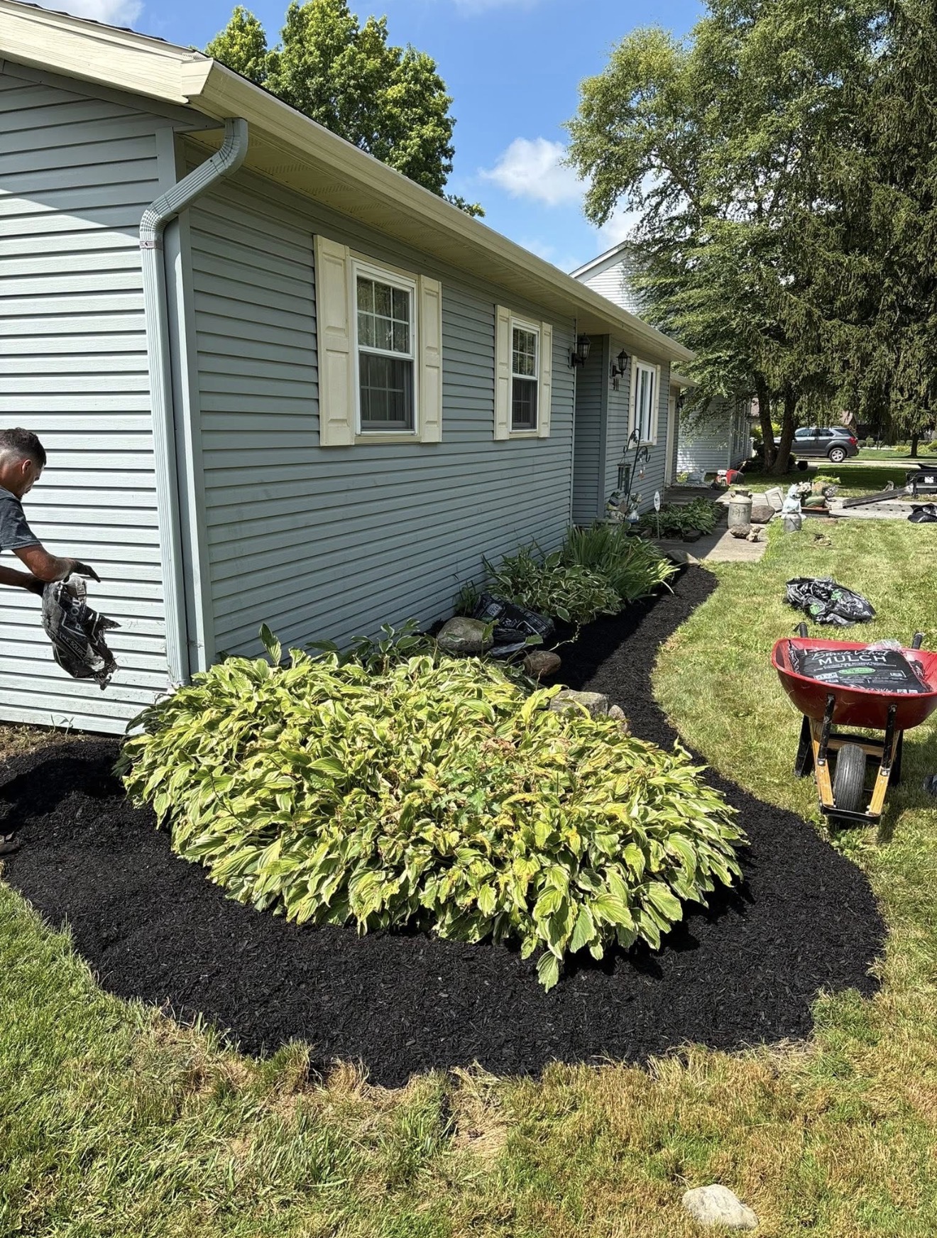 Fresh black mulch bed with hostas along a home in Waynesfield, Ohio